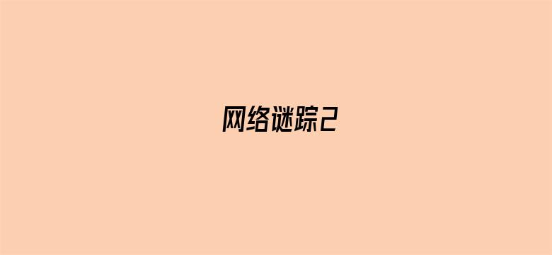 网络谜踪2